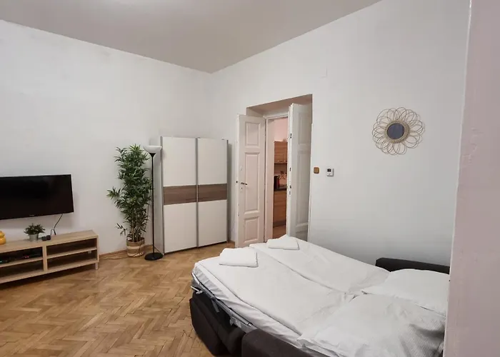 Apartment Krakovska 20